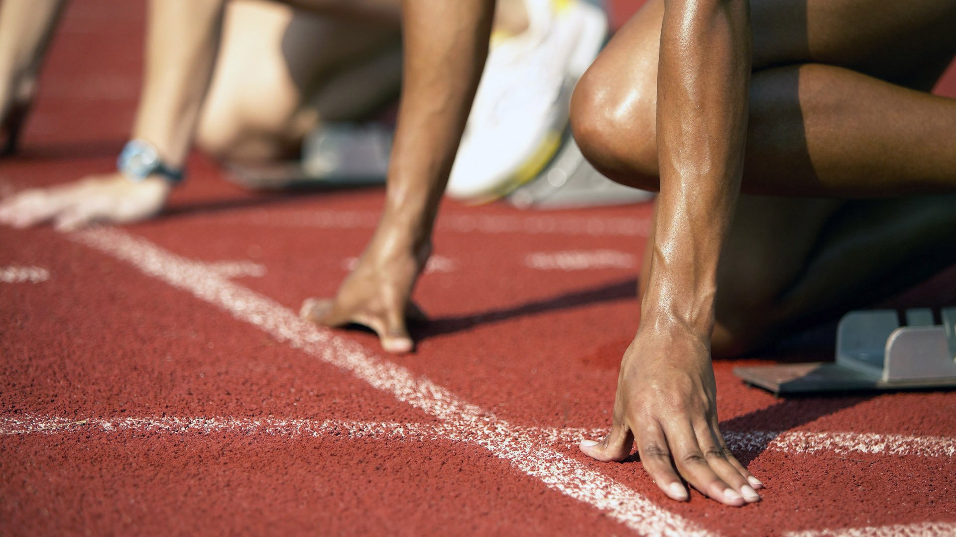 西决生死战焦点战，瑞典制霸法国，欧洲篮球的权力更迭